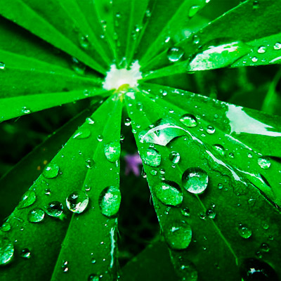 骚扰手机号呼叫软件