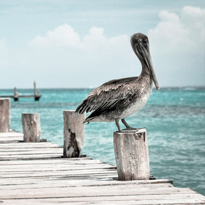 在线短信压力测试