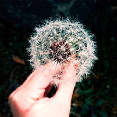 在线短信压力测试